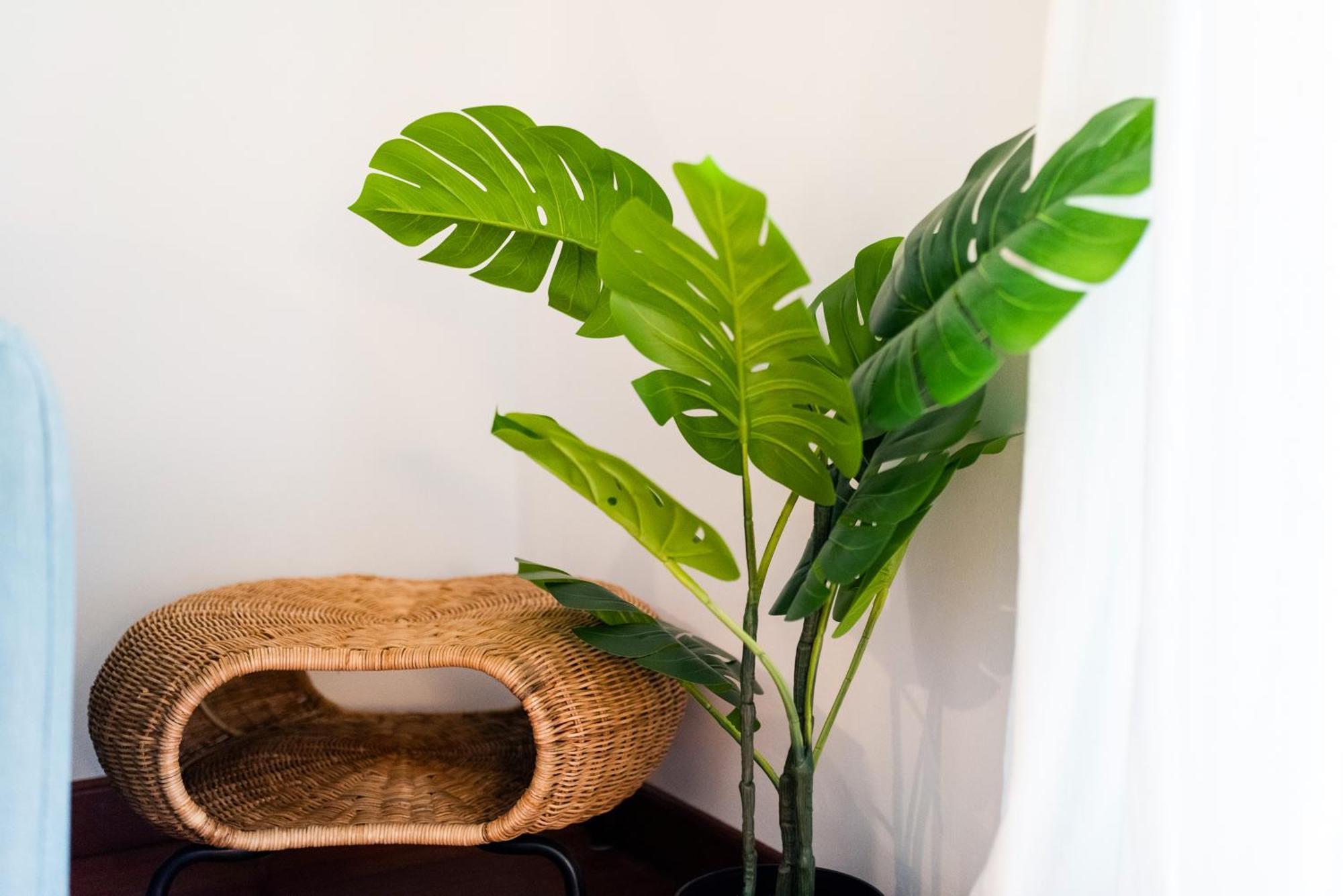 Apartamento Con Encanto, Centro 格拉纳达 外观 照片